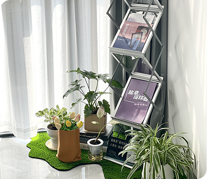 瘦身塑形美容机构